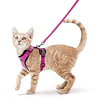 rabbitgoo Cat Harness and Leash for Walking, Escape Proof Soft Adjustable Vest Harnesses for Cats, Easy Control Breathable Reflective Strips Jacket, Rose Red,S