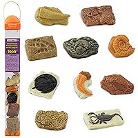 Safari Ltd. Ancient Fossils TOOB - Figurines: Dino Footprint, Giant Crab, Ammonite, Raptor Claw, T-Rex Tooth, Frog Skeleton, Sea Scorpion & More - Educational Toys for Boys, Girls & Kids Ages 3+