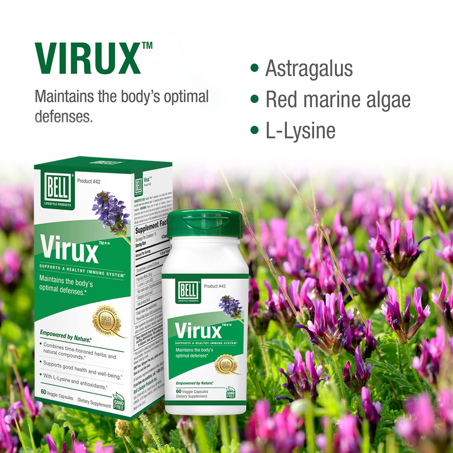 Bell Bundle - Virux L Lysine & Stem Cell Supplements - 25 Years Around The World, Sold Directly by The Manufacturer