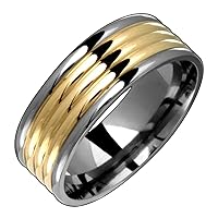Dara Titanium Ring with 14K Gold Center