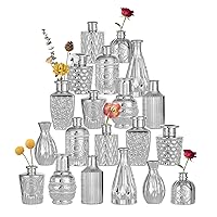 Silver Small Glass Vases for Centerpieces - Hewory 20pcs Silver Bud Vase in Bulk, Mini Vintage Decorative Single Flower Vase for Wedding Birthday Party Baby Shower Home Living Room Table Decor