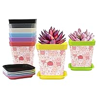 Flower Pots Gardening Containers Plant Pots with Pallet Planters 8-Pack Nursery Pots (8 Colors) Cute Pigs