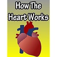 How The Heart Works