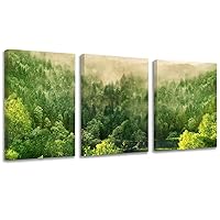 Looife Landscape Canvas Wall Art Nature Foggy Green Forest on Mountain Picture Prints Vibrant Artwork Stretched Framed Wrapped Canvas Wall Decor for Office Living Room-12x16 Inch 3 Panels