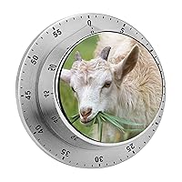 Kitchen Timer Sheep Magnetic Countdown Clock for Cooking Teaching Studying