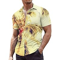 Hawaiian Shirts for Men Short Sleeve Funny Summer T-Shirts Relaxed Fit Baggy V Neck Party Vintage Hippie Sweatshirt