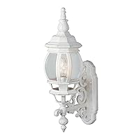 Trans Globe Imports TG4050 WH Transitional One Wall Lantern Outdoor-Post-Lights, White