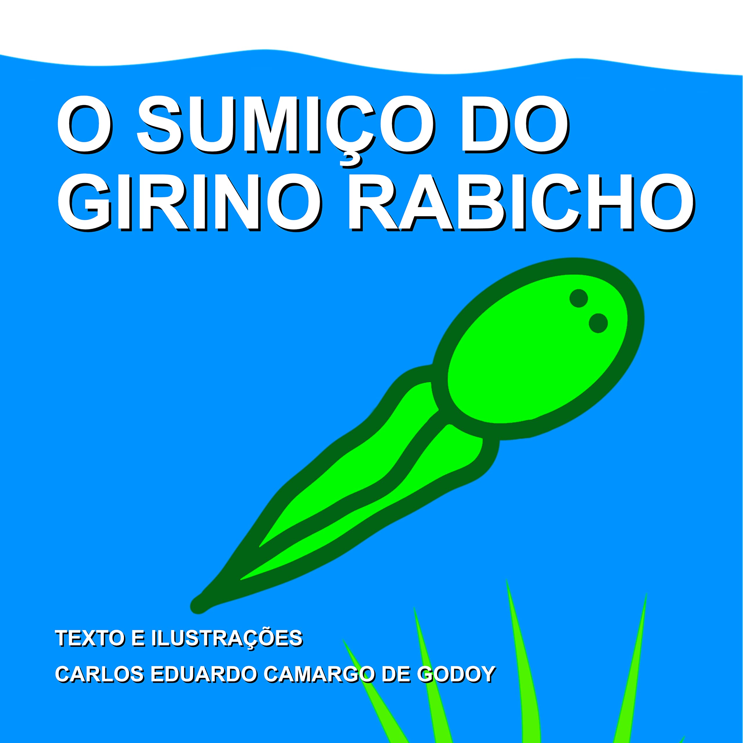 O sumiço do girino Rabicho: Uma aventura na lagoa (Portuguese Edition)
