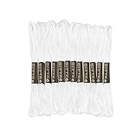 12 Skeins Embroidery Floss White Color, Friendship Bracelet String Cross Stitch Embroidery Thread Floss Bracelet Making Yarn, Craft Floss（White）