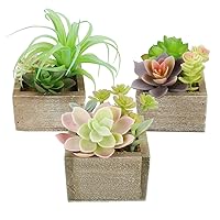 Artificial Succulents in Pots, Mini Succulents Plants Artificial Plants for Home Decor, Faux Plants Indoor Fake Plants for Home Office Desk Plants Decor, Set of 3