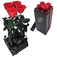 Preserved Real Rose Flowers for Delivery Prime – 4 Long Stem Forever Roses in a Gift Box with 3 Display Options – Preserved Flowers for Wife, Grandma, Mothers Day, Valentines or Birthdays (Red)