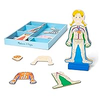 Magnetic Human Body Anatomy Play Set With 24 Magnetic Pieces and Storage Tray
