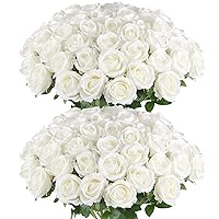 Artificial Roses in Bulk, Fake Silk Roses Realistic White Roses for Wedding Centerpieces Flower Arrangement Home Decor (50, White)