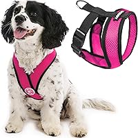 Gooby Comfort X Head In Harness - Flamingo Pink, Medium - No Pull Small Dog Harness Patented Choke-Free X Frame - On the Go Dog Harness for Medium Dogs No Pull or Small Dogs for Indoor and Outdoor Use