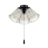 Aspen Creative 22012-3, Three-Light Ceiling Fan Light Kit with Pull Chain, Matte Black Finish with Frosted and Clear Glass Shades, 14