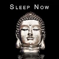 Sleep Now - This Music Is Designed to Help You Relax and Sleep Sleep Now - This Music Is Designed to Help You Relax and Sleep MP3 Music