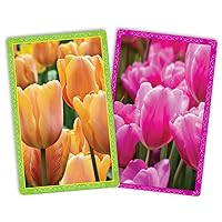 Spring Tulips Playing Cards