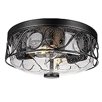 Industrial Flush Mount Ceiling Light, Close to Ceiling Light Fixture with Black Metal Cage, 2-Light Ceiling Lamp with Bubble Glass for Kitchen Bedroom Living Room