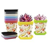Peach and Banana Flower Pots Planters Nursery Pots 8-Pack Gardening Containers Plant Pots with Pallet (8 Colors)
