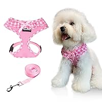 Upgraded Soft Mesh Dog Harness, Super Breathable Lightweight Pet Harnesses for Puppy Dogs Outdoor Walking, Pink Dog Harness and Dog Leash Set Packing -Large