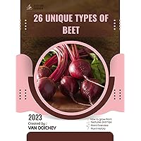 26 Unique Types of Beet: Guide and overview