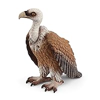 Schleich Wild Life, Animal Figurine, Animal Toys for Boys and Girls 3-8 years old, Vulture, Ages 3+