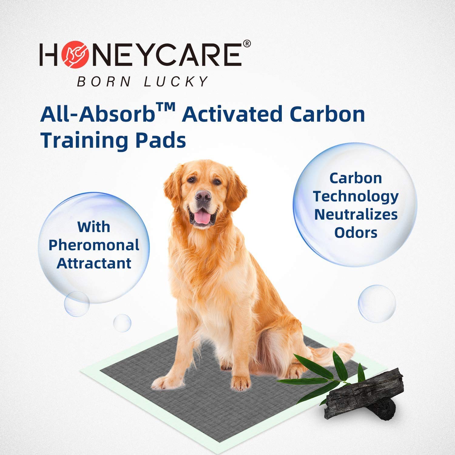 HONEY CARE All-Absorb Puppy Training Pads | Doggie Potty Pads Absorb Eliminating Urine Odor, Ultra Charcoal Dog Pee Pad (Carbon, L 22x23 inch, 100ct)