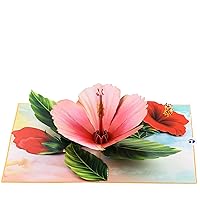 Pop Up Card Hibiscus Card, 7x5 3d Greeting Card, Pop Up Flower Card For Mothers Day Father's Day Anniversary Card For Wife Husband, Flower Card, Thinking Of You, Birthday Card