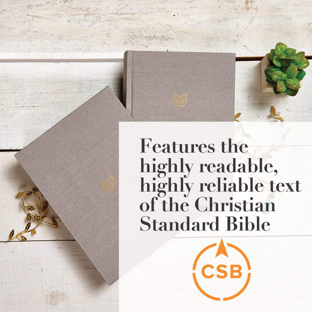 CSB She Reads Truth Bible, Gray Linen Cloth Over Board, Black Letter, Full-Color Design, Wide Margins, Notetaking Space, Devotionals, Reading Plans, Easy-To-Read Bible Serif Type