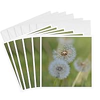 3dRose Dandelions in Spring, Greeting Cards, Set of 6 (gc_192851_1)