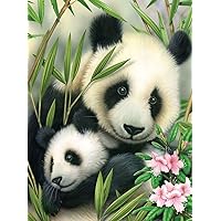 Paint by Numbers Junior Panda, DIY Picture Approx. 33 x 24 cm, Includes 7 Acrylic Paints, Brush and Printed Painting Card, Ideal for Beginners and Children from 8 Years