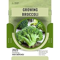 Growing Broccoli: Guide and overview