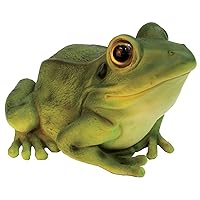 Green Frog by Michael Carr Designs - Outdoor Frog Figurine for gardens, patios and lawns (508002BG)