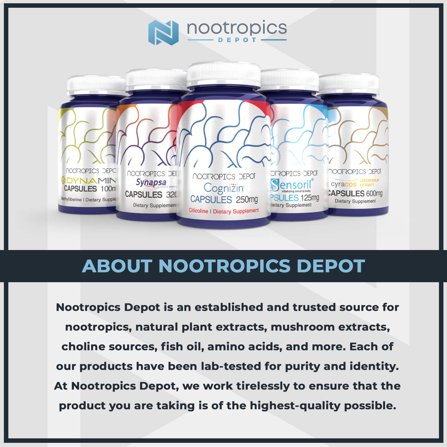 Nootropics Depot L-Tyrosine Powder | 500 Grams | Amino Acid Supplement | Supports Healthy Stress Levels | Boosts Energy | Promotes Mental Alertness, Focus and Clarity