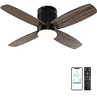 Ohniyou Ceiling Fan with Lights - 38'' Small Flush Mount Ceiling Fans Remote & APP Control - Dimmable Indoor Outdoor Quiet DC Low Profile Ceiling Fan for Patio Kitchen Bedroom(Black)