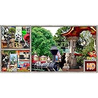 City Zoo - Hidden Object Game [Download]
