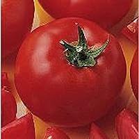 Bush Early Girl II Tomato Seeds (25 Seed Packet)(Non GMO Organic Vegetable Fruit Garden Seeds) Non-Hybrid, by Home Decorium