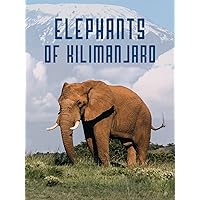 Elephants of Kilimanjaro
