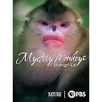 Mystery Monkeys of Shangri-La
