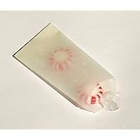 Uline Mini Glassine Wax Paper Bags - 2 x 3 1/2 - 100 Bags