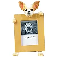 Chihuahua Picture Frame Holds Your Favorite 2.5 by 3.5 Inch Photo, Hand Painted Realistic Looking Chihuahua Stands 6 Inches Tall Holding Beautifully Crafted Frame, Unique and Special Chihuahua Gifts for Chihuahua Owners
