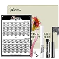 DIY Lash Extension Kit, Individual Lash Extensions Cluster with Super Hold Mascara Brush Bond & Seal, Reusable 3D Effect Individual Lashes with 240Pcs 10D/20D 8-12mm Cluster Lashes Mixed (D Curl)