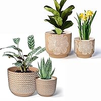 Sand Galzed Cermaic Pots and Nature Ceramic Plant Pots