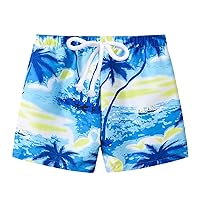 Toddler Play Toddler Boys Girls Cartoon Floral Printed Sport Shorts Kids Beach Shorts Girls Clothes for School