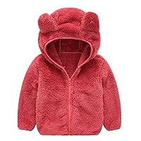 Unisex Babies Hoodies Jacket Baby Boy Girl Little Cute Bear Sweatshirt Coat Fleece Sherpa Fuzzy Winter Warm Tops 2023