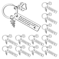 Dabihu Vet Tech Keychain Veterinarian Appreciation Gifts Thank You Gifts for Veterinary Tech Coworker Animal Rescue Gifts