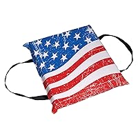 Airhead Type IV Throwable Cushion American Flag