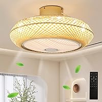 20 Inch Boho Ceiling Fan with Light Flush Mount, Rattan Caged Ceiling Fan with Light and Remote Control, Low Profile Ceiling Fan with Light, 6 Speed Reversibe, 1/4/8H Timing,Dimmable
