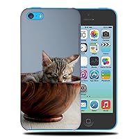 Adorable CAT Kitten Feline #119 Phone CASE Cover for Apple iPhone 5C