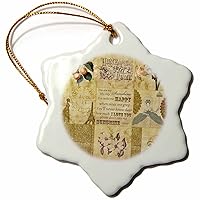 3dRose ORN_79374_1 Vintage Gold Collage of Art with Apricots and You are My Sunshine Snowflake Porcelain Ornament, 3-Inch